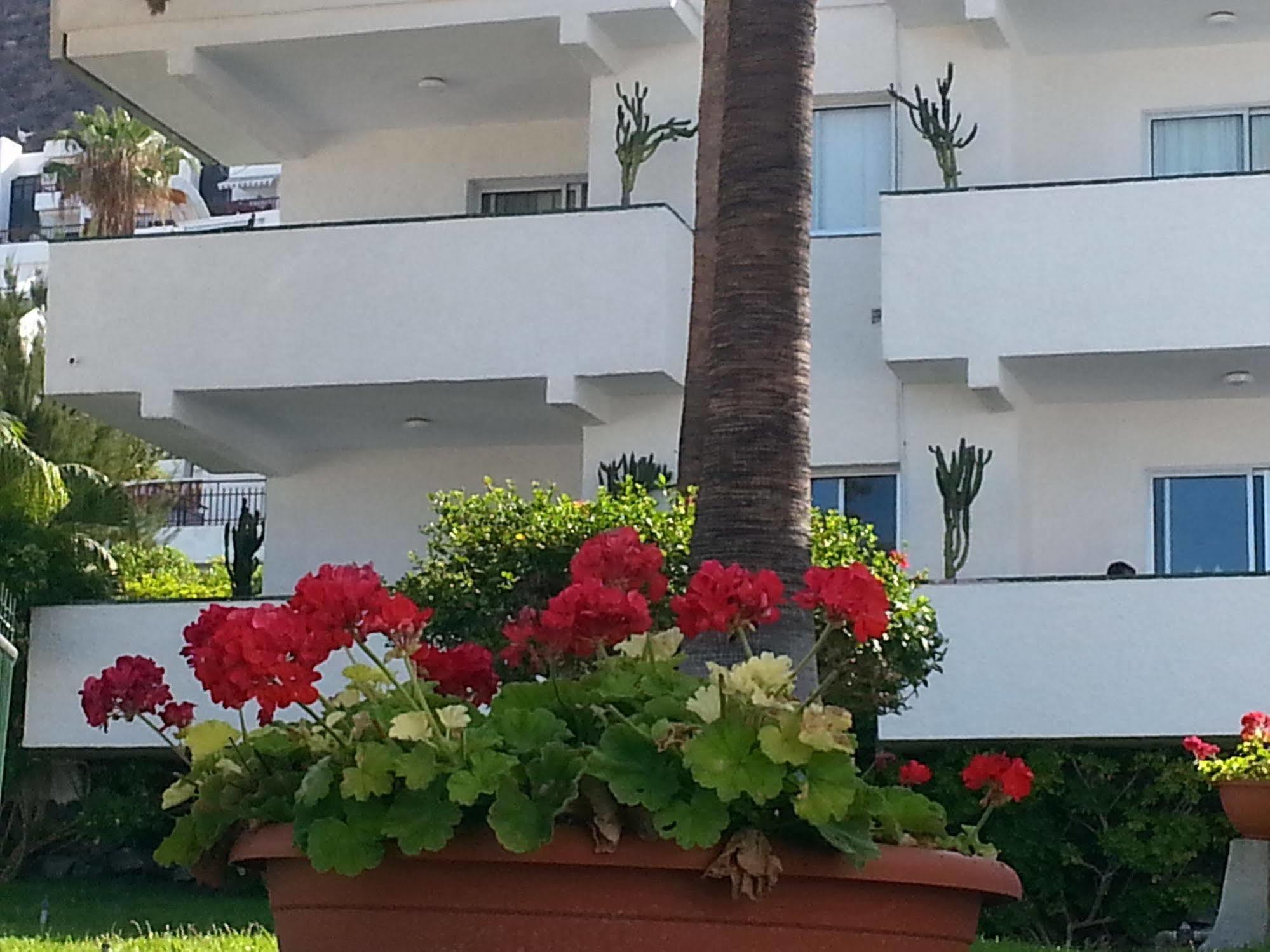 Apartamentos El Sombrero Acantilado de los Gigantes Eksteriør billede